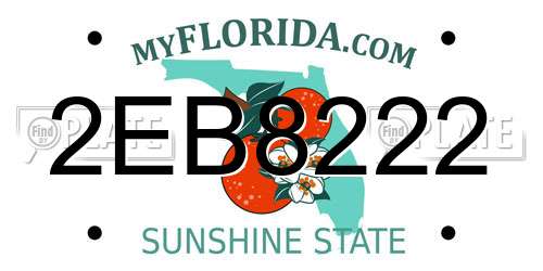 2EB8222 Florida License Plate