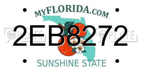2EB8272 Florida License Plate