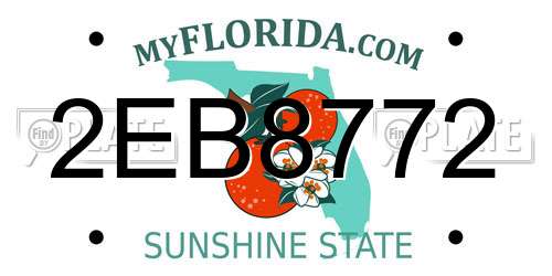 2EB8772 Florida License Plate