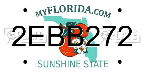 2EBB272 Florida License Plate