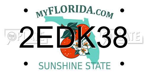 2EDK38 Florida License Plate