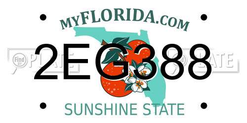 2EG388 Florida License Plate
