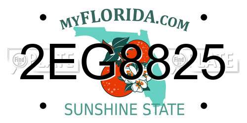 2EG8825 Florida License Plate