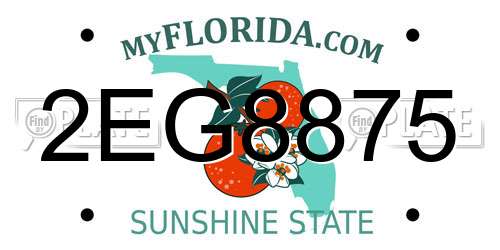 2EG8875 Florida License Plate
