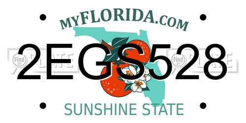 2EGS528 Florida License Plate