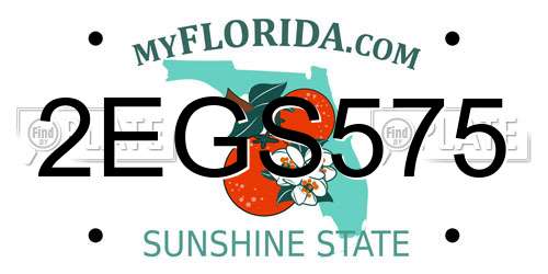 2EGS575 Florida License Plate
