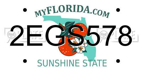 2EGS578 Florida License Plate
