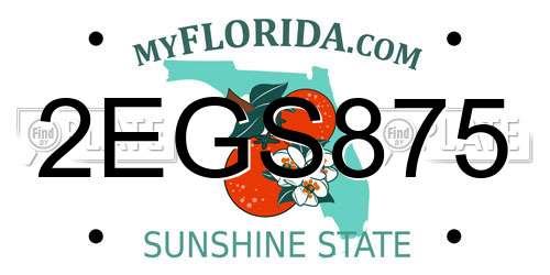 2EGS875 Florida License Plate