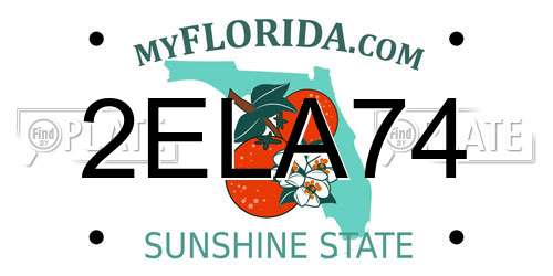 2ELA74 Florida License Plate