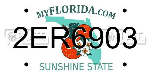 2ER6903 Florida License Plate