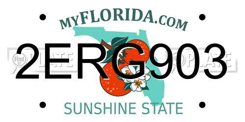 2ERG903 Florida License Plate