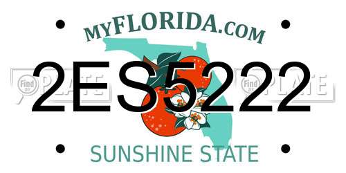 2ES5222 Florida License Plate