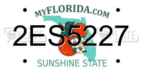 2ES5227 Florida License Plate