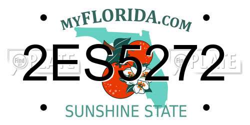 2ES5272 Florida License Plate