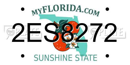 2ES8272 Florida License Plate