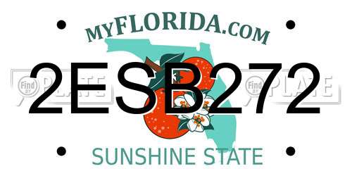 2ESB272 Florida License Plate