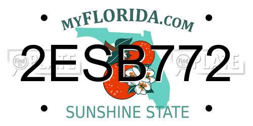 2ESB772 Florida License Plate