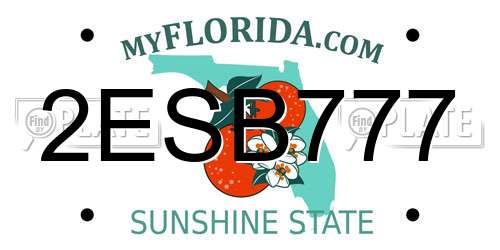 2ESB777 Florida License Plate