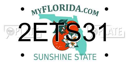 2ETS31 Florida License Plate