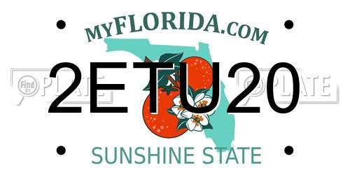 2ETU20 Florida License Plate