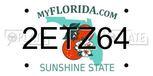 2ETZ64 Florida License Plate