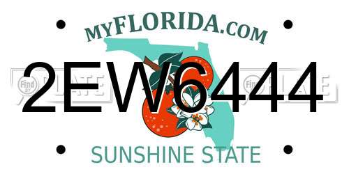 2EW6444 Florida License Plate