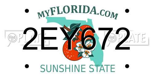 2EY672 Florida License Plate