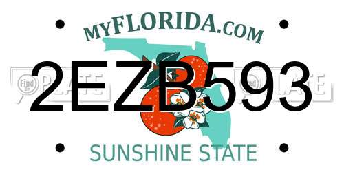 2EZB593 Florida License Plate