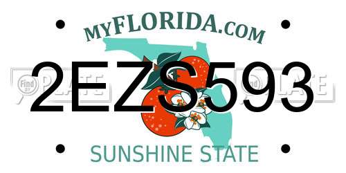 2EZS593 Florida License Plate