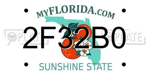 2F32B0 Florida License Plate