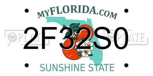 2F32S0 Florida License Plate
