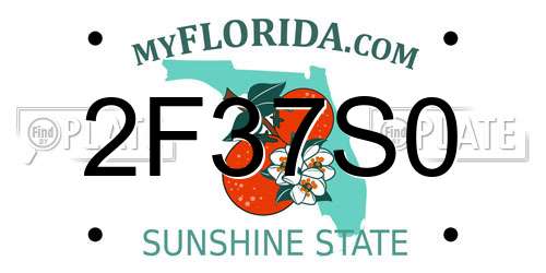 2F37S0 Florida License Plate