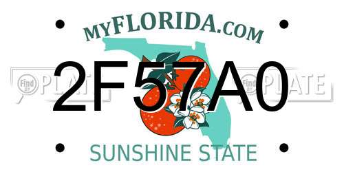 2F57A0 Florida License Plate