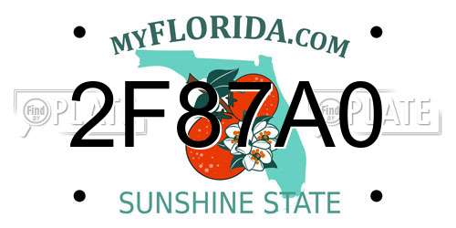 2F87A0 Florida License Plate