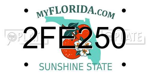 2FE250 Florida License Plate