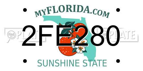 2FE280 Florida License Plate