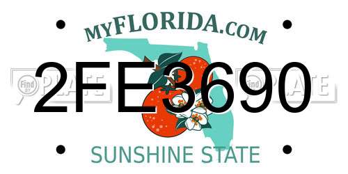 2FE3690 Florida License Plate