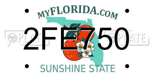 2FE750 Florida License Plate