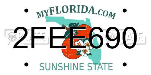 2FEE690 Florida License Plate