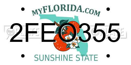 2FEO355 Florida License Plate