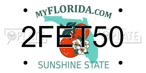 2FET50 Florida License Plate