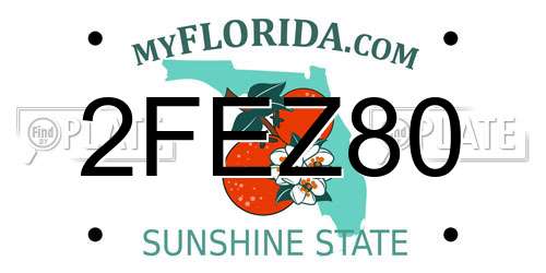 2FEZ80 Florida License Plate