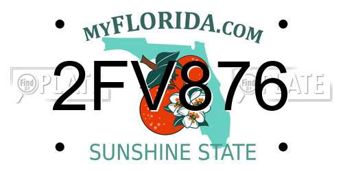 2FV876 Florida License Plate