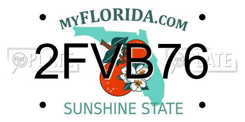 2FVB76 Florida License Plate