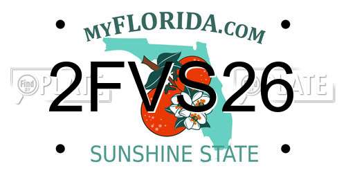2FVS26 Florida License Plate