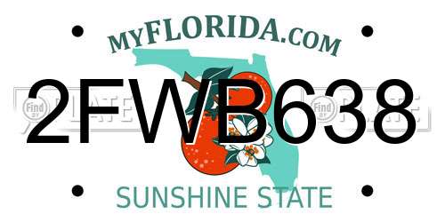 2FWB638 Florida License Plate