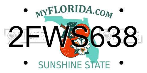 2FWS638 Florida License Plate