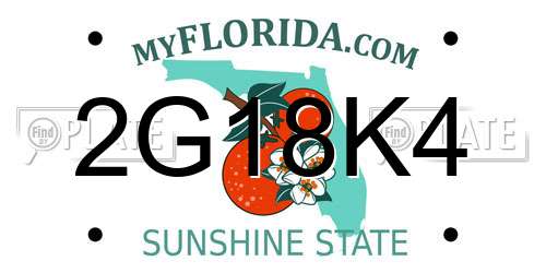 2G18K4 Florida License Plate