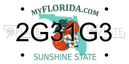 2G31G3 Florida License Plate