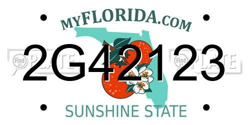 2G42123 Florida License Plate